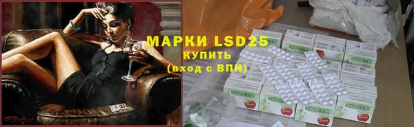 ешки Инта