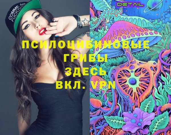 Альфа ПВП Зеленокумск