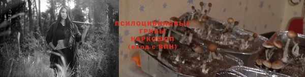 стаф Иннополис