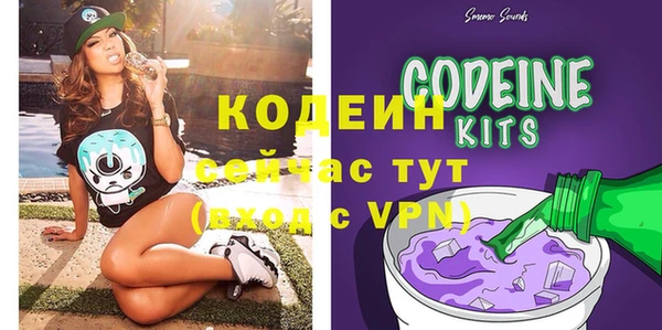 ешки Инта