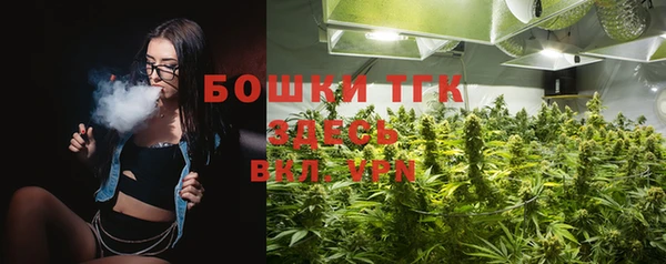 ешки Инта