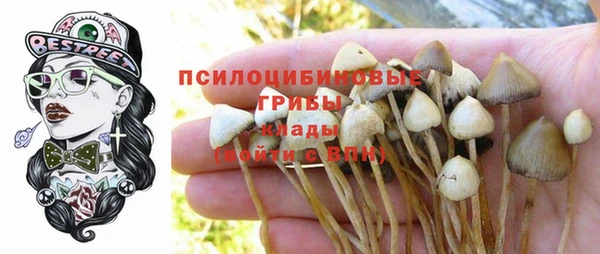 марки lsd Инсар