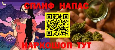 дмт Нальчик