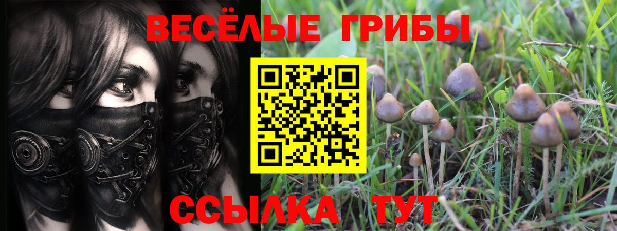 Галлюциногенные грибы мухоморы  Вход с VPN  Сегежа  Галлюциногенные грибы мицелий 